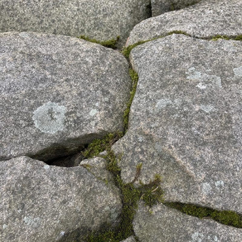 Detalje af nyanlagt gangsti i fliser med frisk fugesand i en dansk have